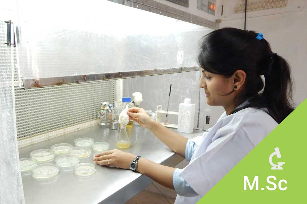 M.Sc. Applied Microbiology